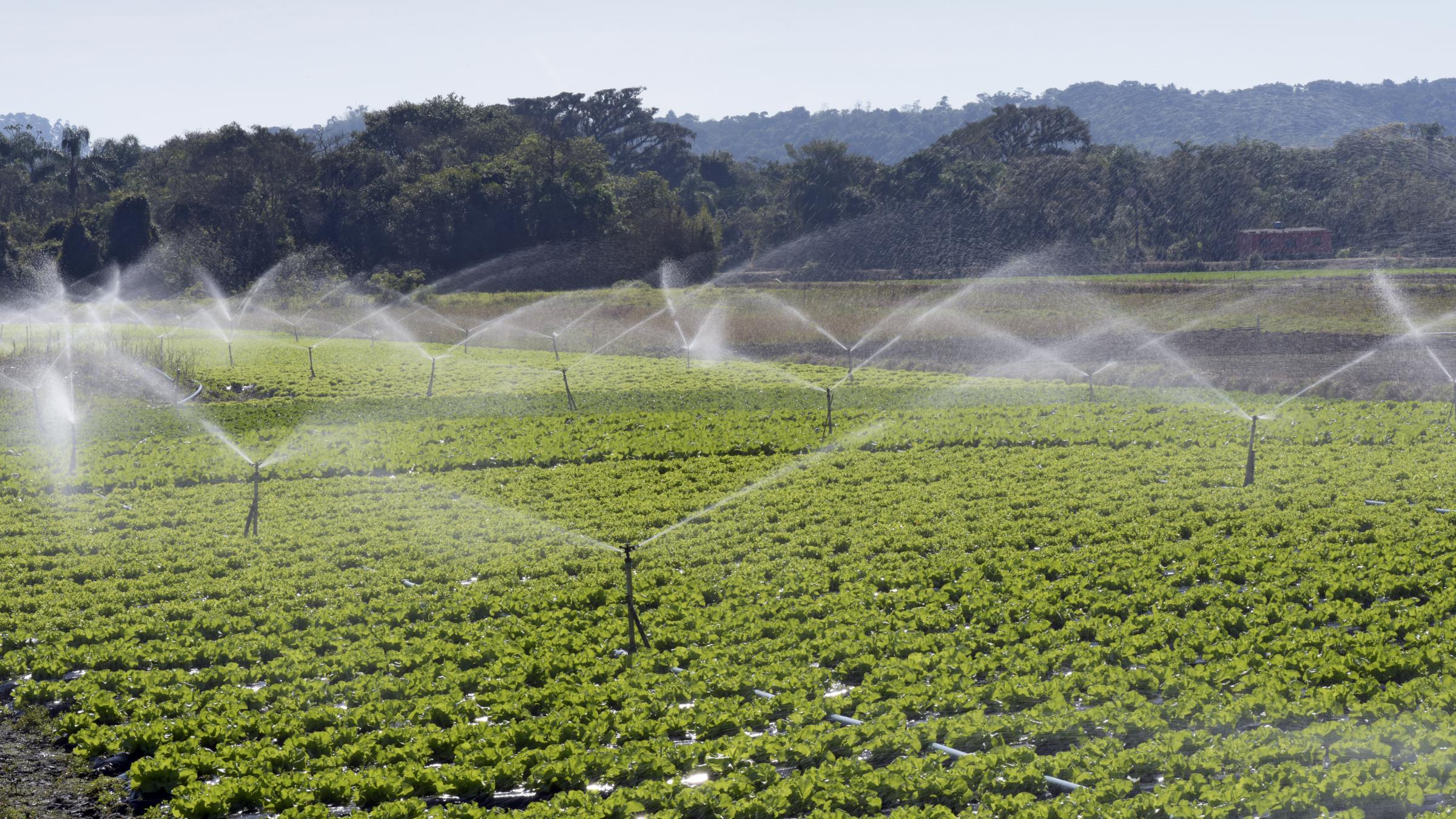 Determinants of Poverty in Different Irrigation Schemes and Non ...