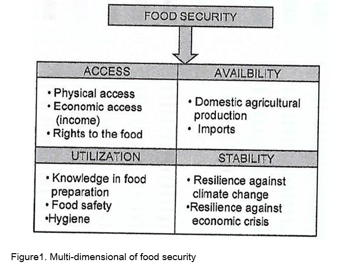 Addressing Food Security In Challenging Times Fftc Agricultural Policy Platform Fftc Ap