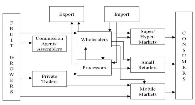 Roles of Cooperative Movement as Middlemen to Increase the 